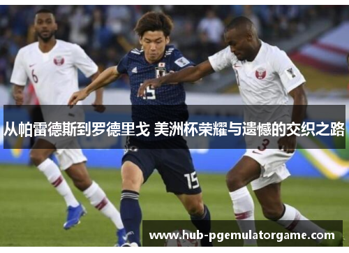 从帕雷德斯到罗德里戈 美洲杯荣耀与遗憾的交织之路