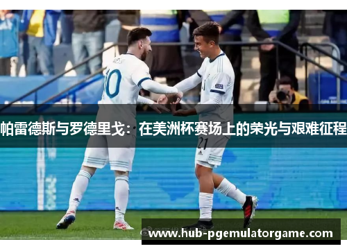 帕雷德斯与罗德里戈：在美洲杯赛场上的荣光与艰难征程