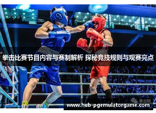 拳击比赛节目内容与赛制解析 探秘竞技规则与观赛亮点 拳击比赛节目内容与赛制解析 探秘竞技规则与观赛亮点