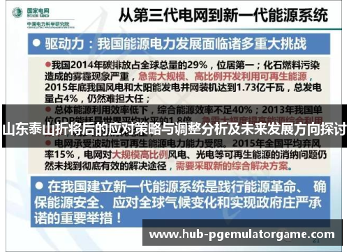 山东泰山折将后的应对策略与调整分析及未来发展方向探讨 山东泰山折将后的应对策略与调整分析及未来发展方向探讨