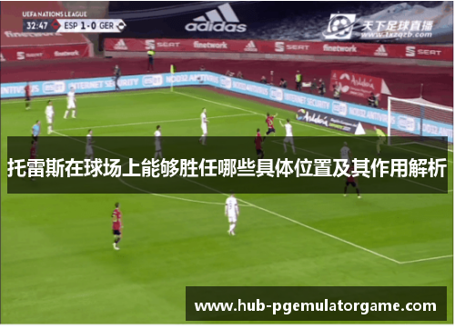 托雷斯在球场上能够胜任哪些具体位置及其作用解析