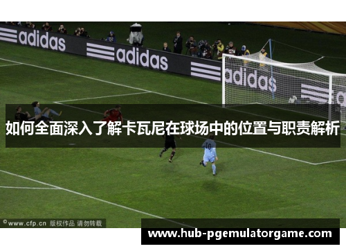 如何全面深入了解卡瓦尼在球场中的位置与职责解析 如何全面深入了解卡瓦尼在球场中的位置与职责解析