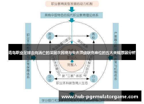 青岛职业足球走向消亡的深层次困境与失去顶级联赛席位的五大关键原因分析