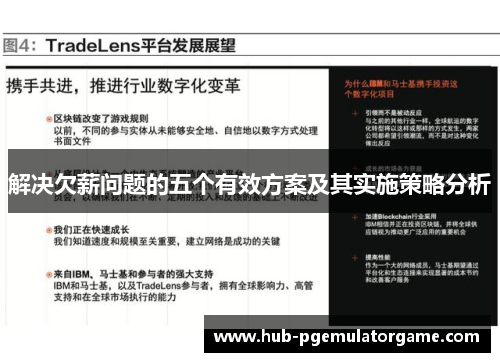 解决欠薪问题的五个有效方案及其实施策略分析