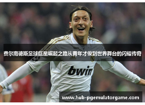 费尔南德斯足球巨星崛起之路从青年才俊到世界舞台的闪耀传奇 费尔南德斯足球巨星崛起之路从青年才俊到世界舞台的闪耀传奇