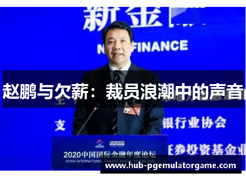 赵鹏与欠薪：裁员浪潮中的声音