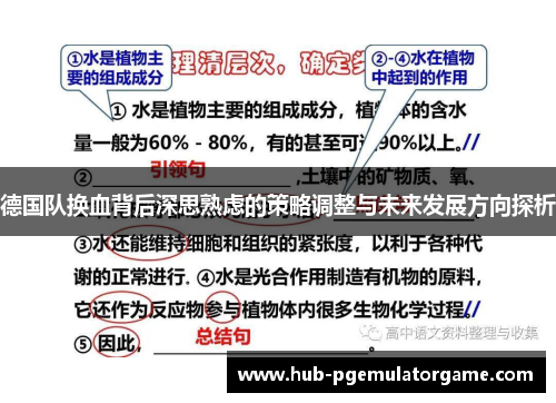 德国队换血背后深思熟虑的策略调整与未来发展方向探析