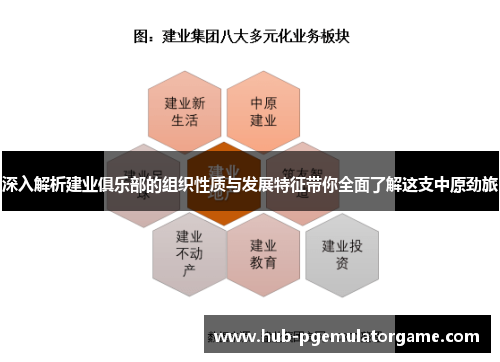 深入解析建业俱乐部的组织性质与发展特征带你全面了解这支中原劲旅