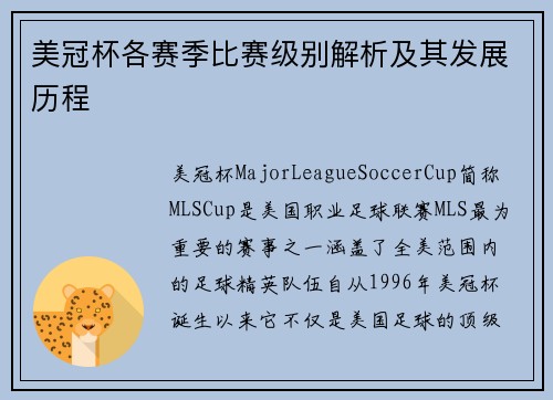 美冠杯各赛季比赛级别解析及其发展历程