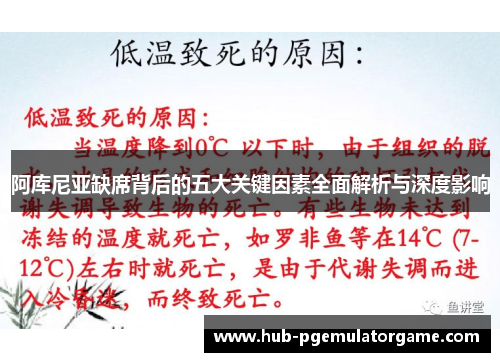阿库尼亚缺席背后的五大关键因素全面解析与深度影响 阿库尼亚缺席背后的五大关键因素全面解析与深度影响