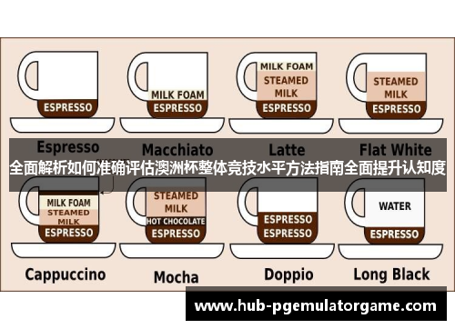 全面解析如何准确评估澳洲杯整体竞技水平方法指南全面提升认知度